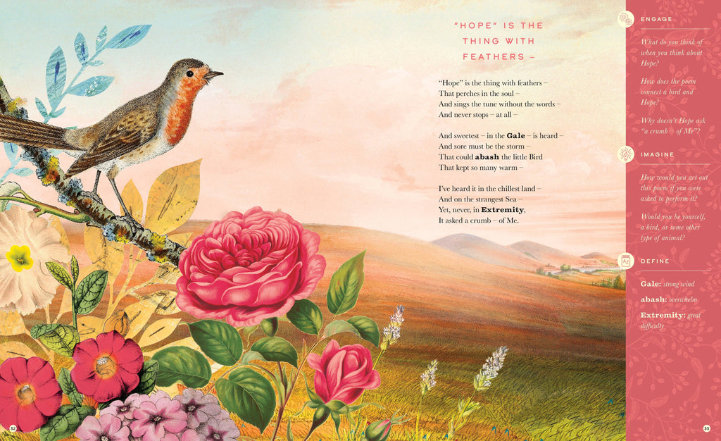 The Illustrated Emily Dickinson