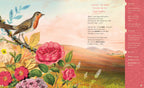 The Illustrated Emily Dickinson