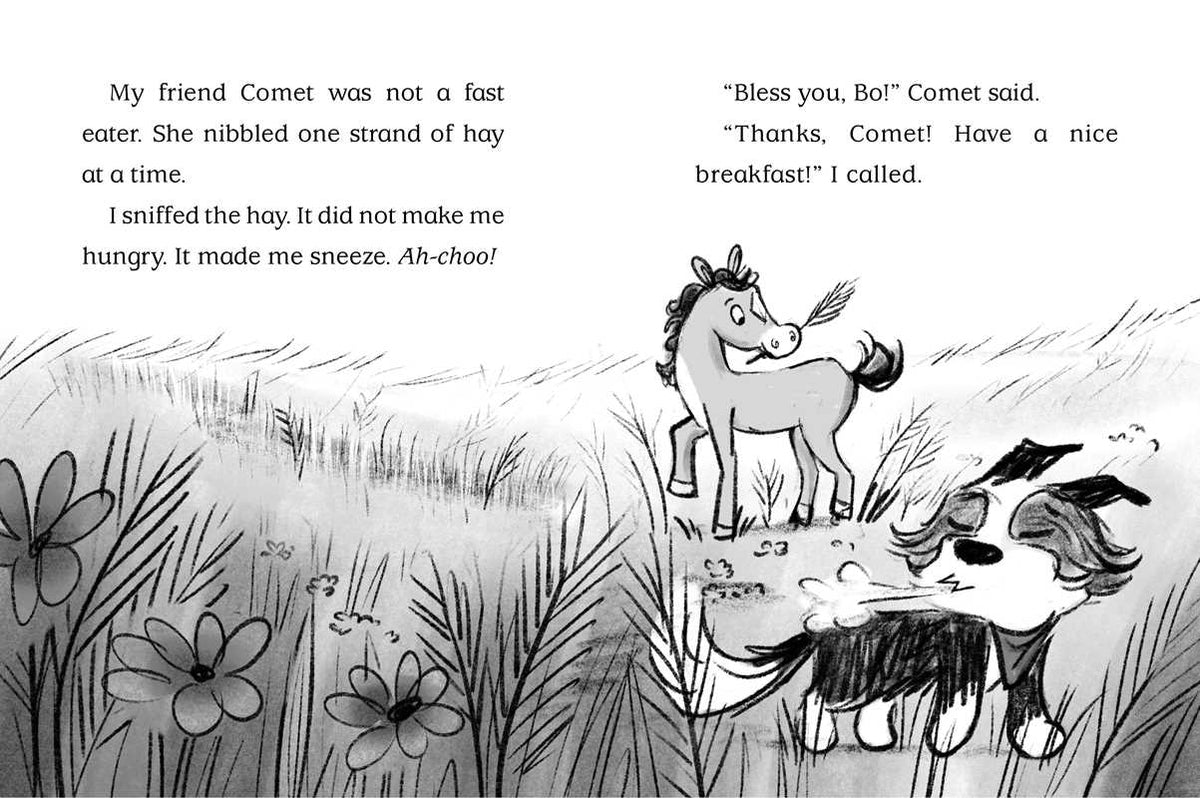 How to Spy a Spy by Cam Higgins