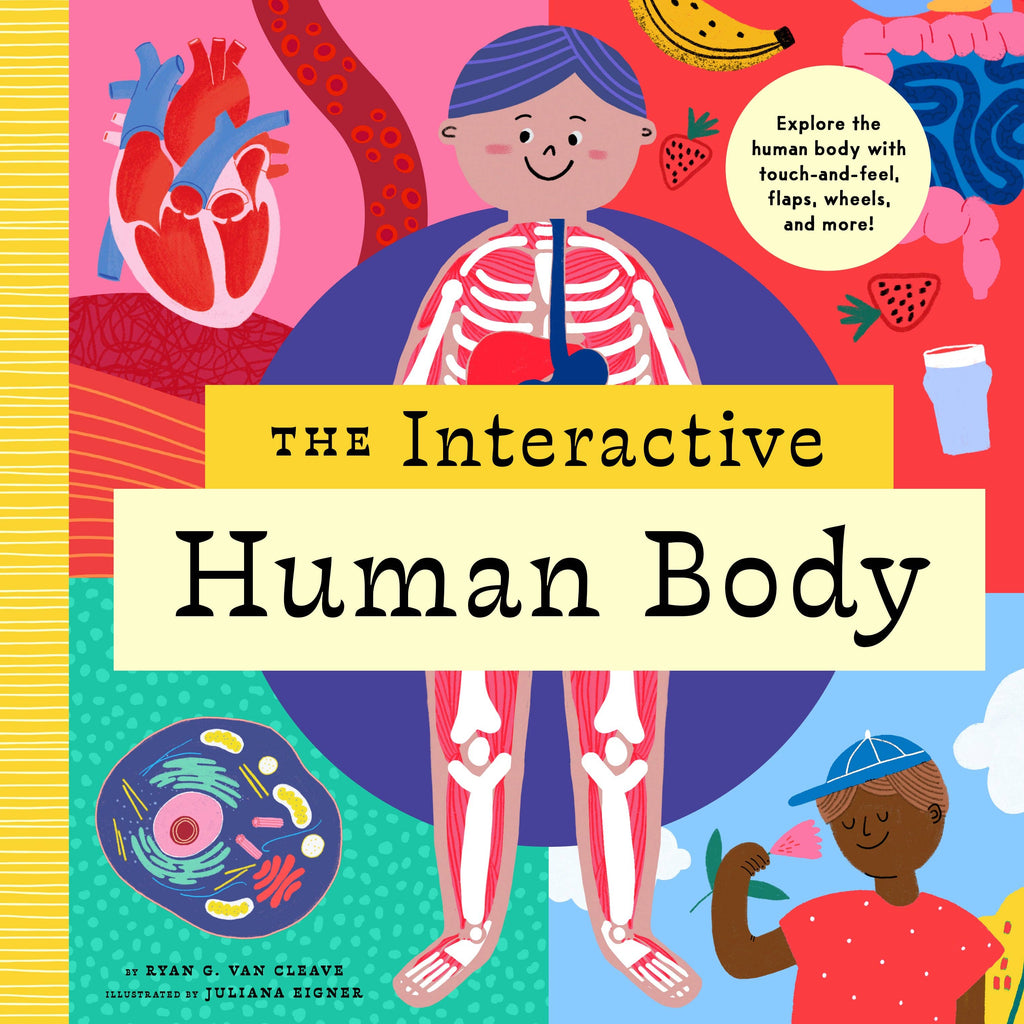 The Interactive Human Body