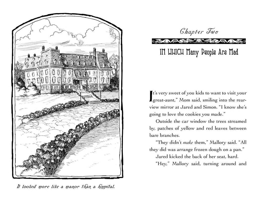 Lucinda's Secret by Tony DiTerlizzi