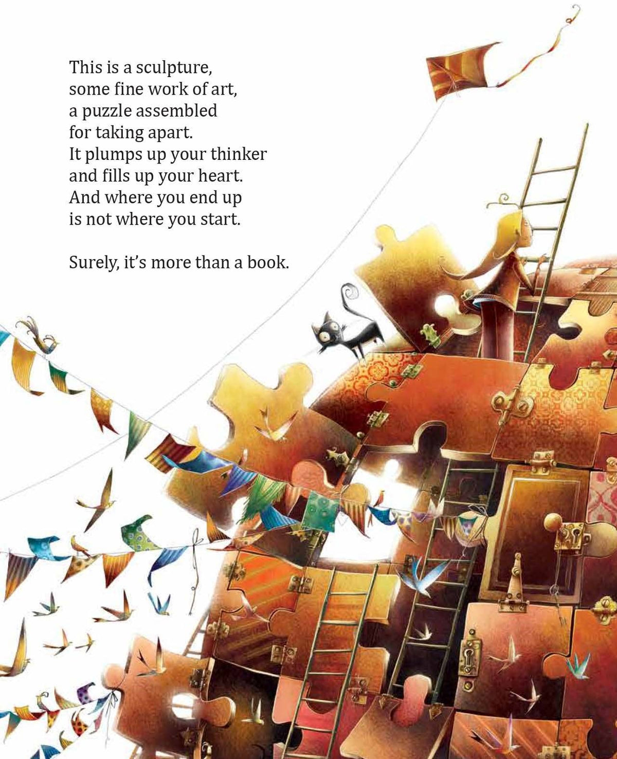 Books Do Not Have Wings Picture Book