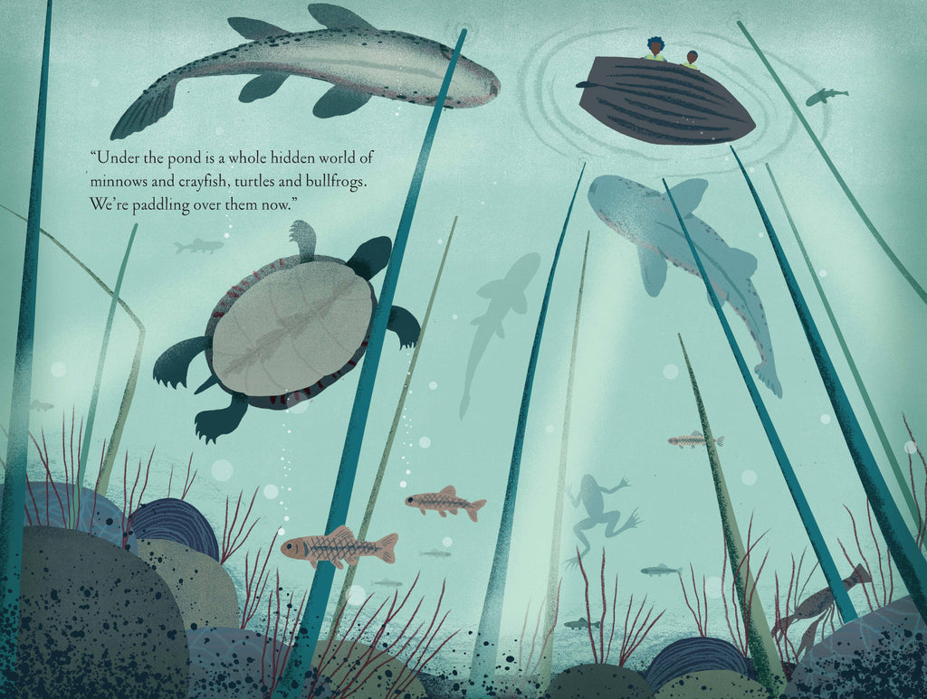 Over and Under the Pond