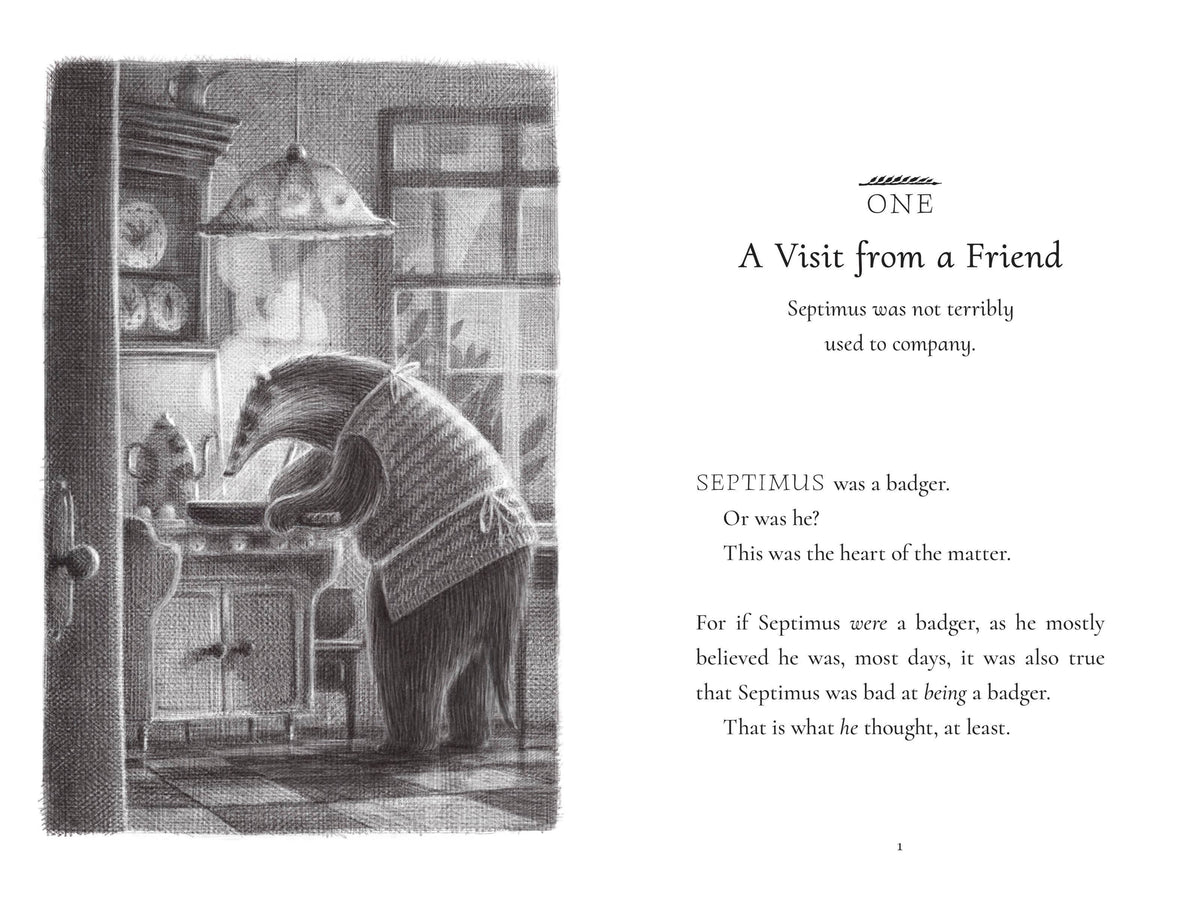 Bad Badger: A Love Story by Maryrose Wood (Hardcover)