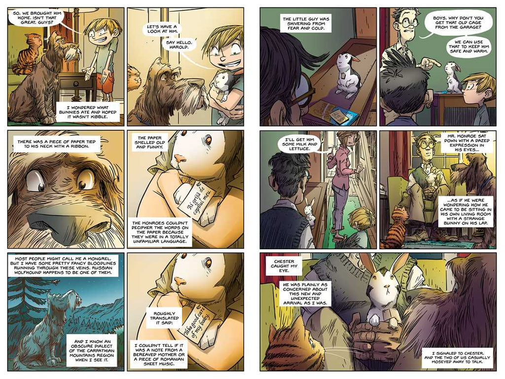 Bunnicula the Graphic Novel by James Howe