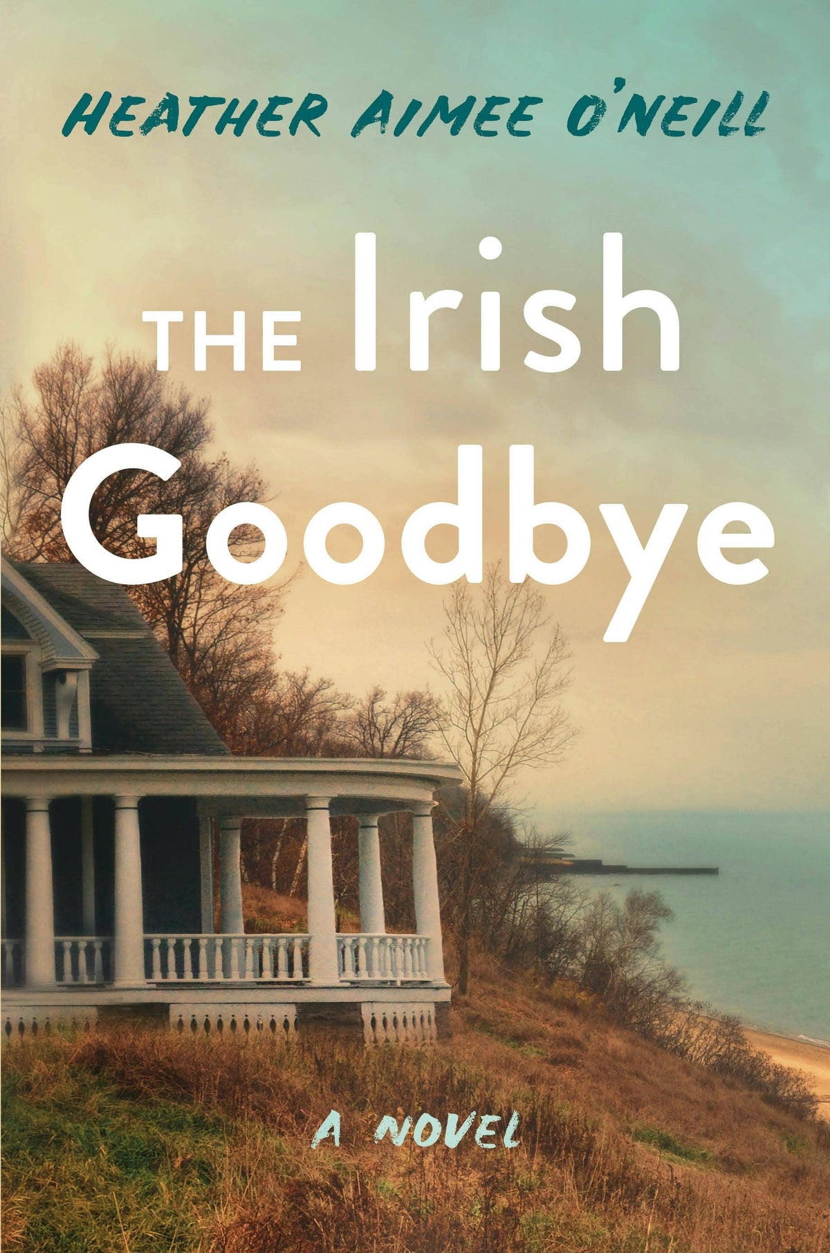Irish Goodbye: A Novel