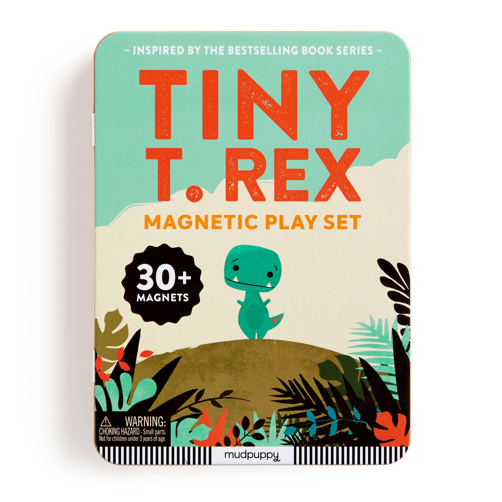 Tiny T.Rex Magnetic Play Set