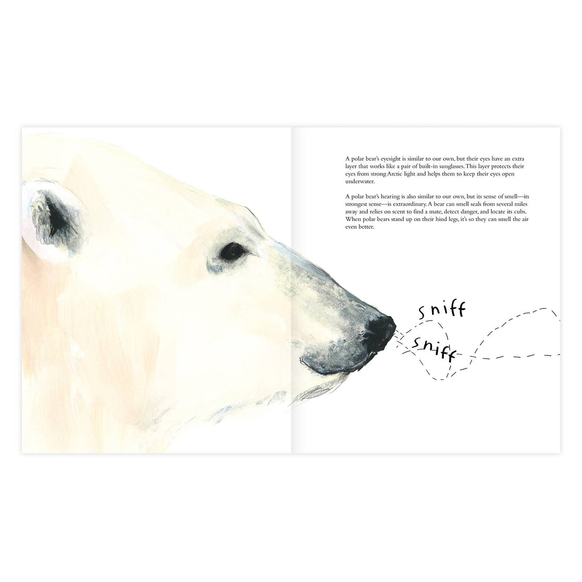The Polar Bear