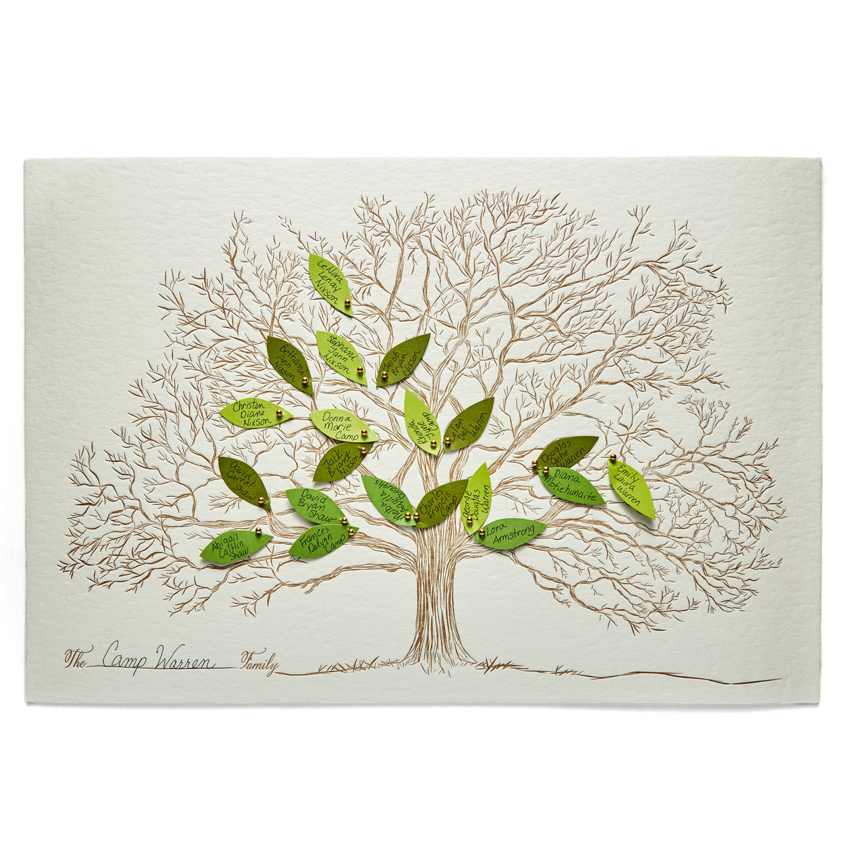 Family Tree