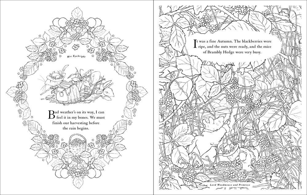 Brambly Hedge: Festive Coloring Book : Jill Barklem