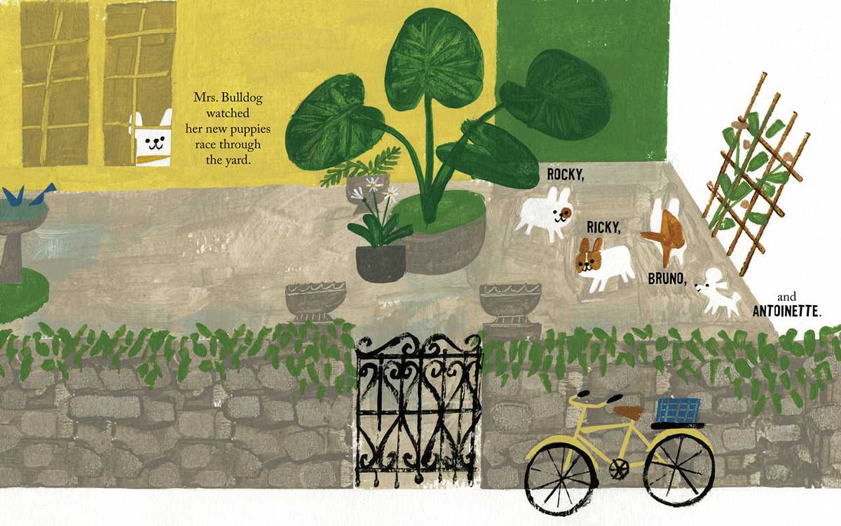 Antoinette by Kelly DiPucchio