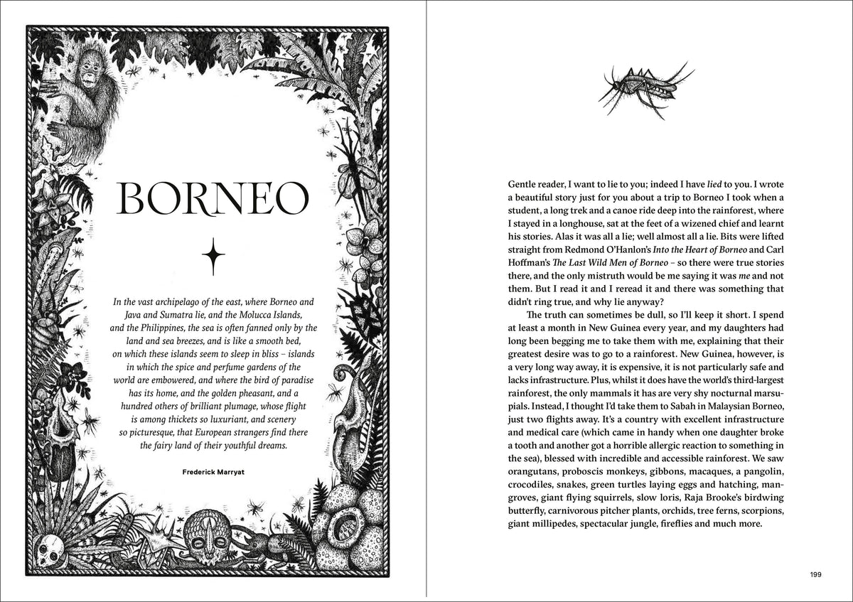 Dark Fairy Tales