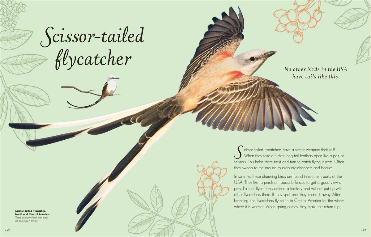 Anthology Birds