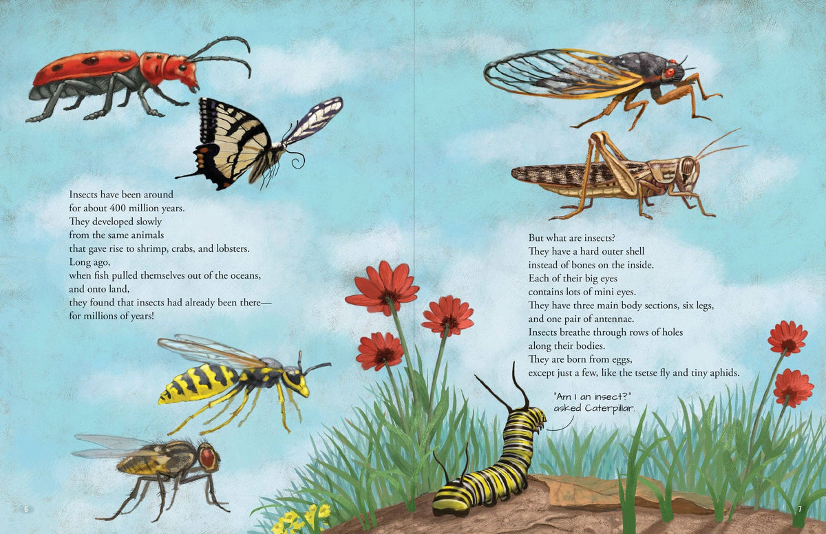 All the Insects in the World