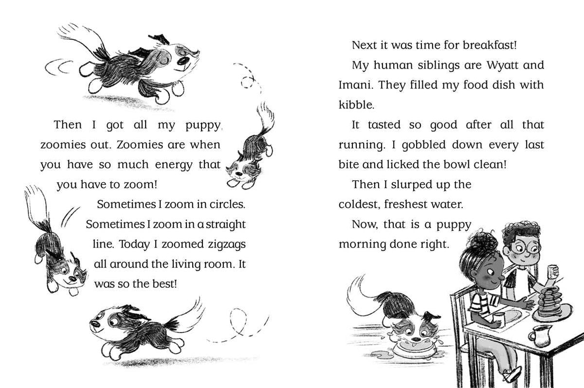 How to Spy a Spy by Cam Higgins