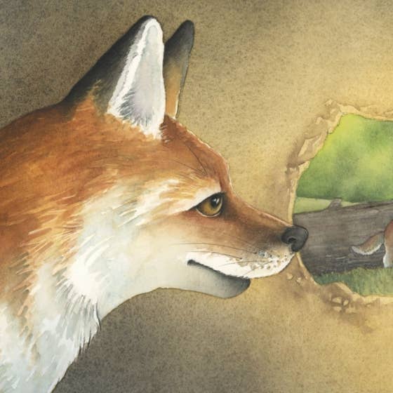If I Were A Fox