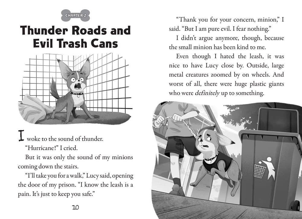 Revenge of the Raccoons: A Branches Book (Pets Rule! #7)