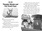 Revenge of the Raccoons: A Branches Book (Pets Rule! #7)