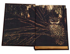 Grimm's Complete Fairy Tales by Jacob Grimm