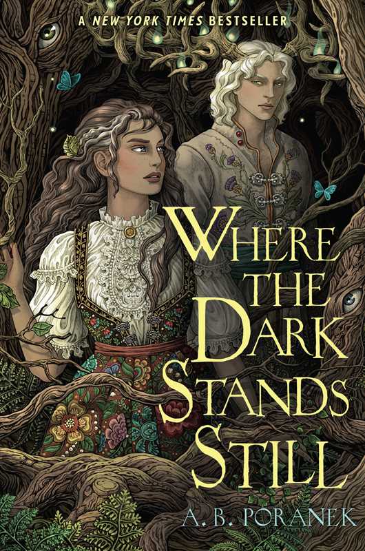 Where the Dark Stands Still by A. B. Poranek