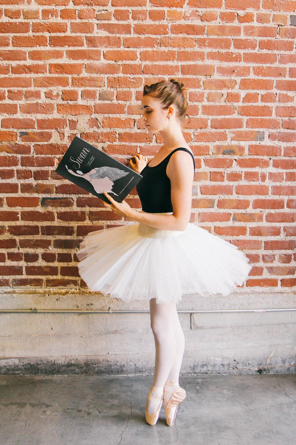 Swan
