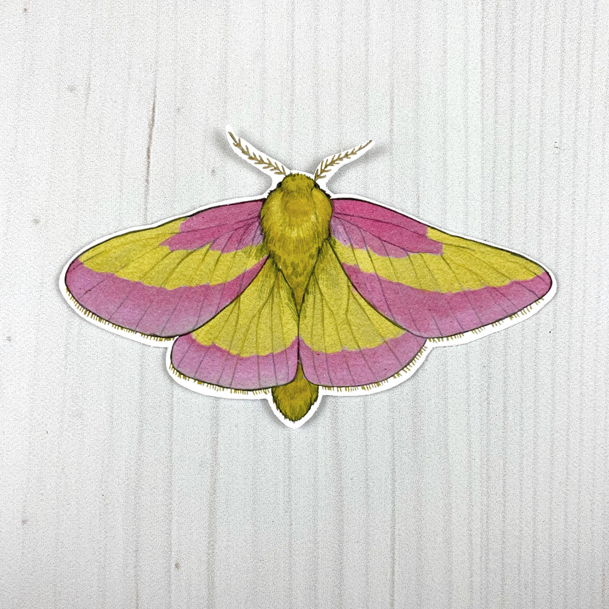 Rosy Maple Moth Vinyl Sticker