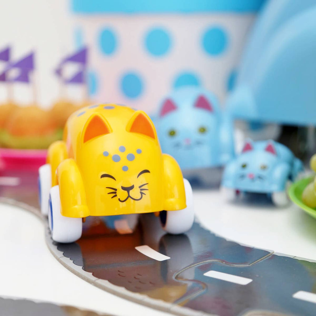 FULL Display Cute Cars BABY, 9 styles asstd. (45 pcs)