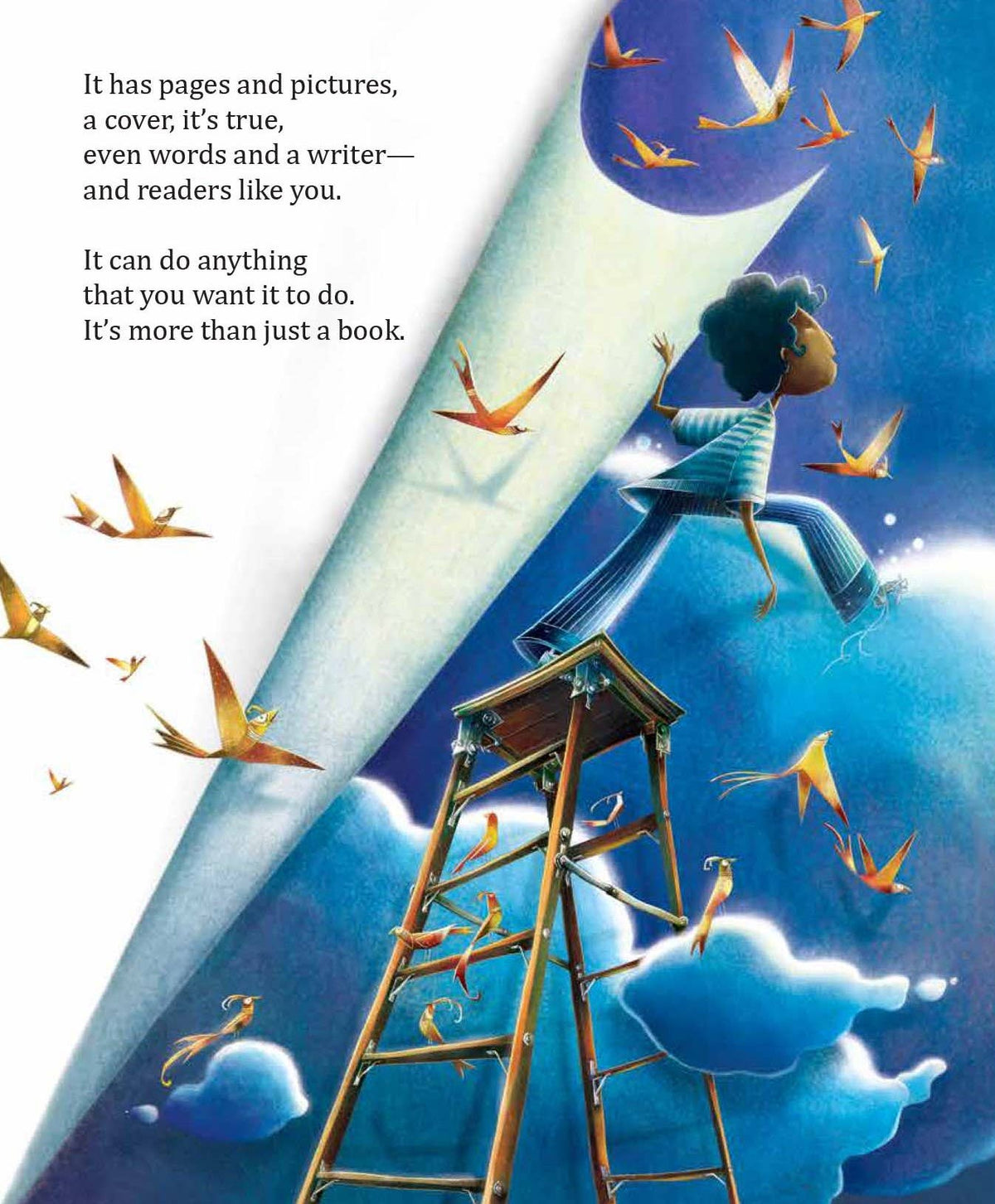 Books Do Not Have Wings Picture Book