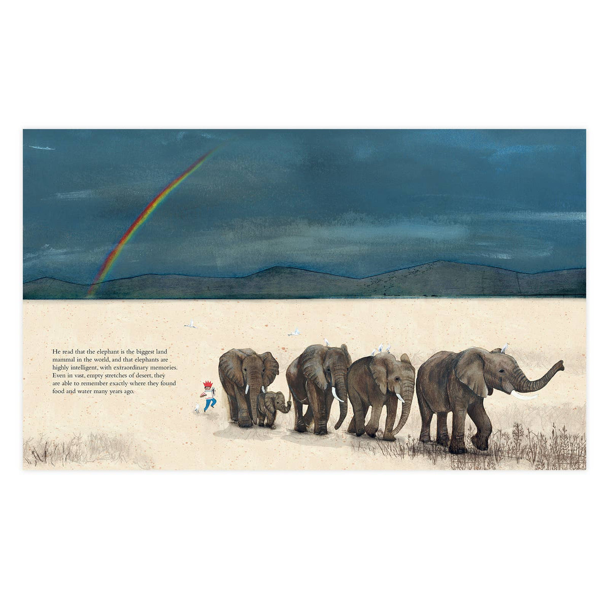 The Elephant