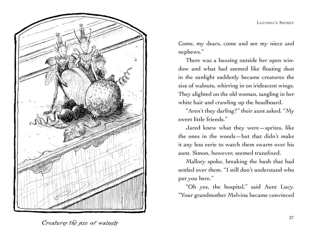 Lucinda's Secret by Tony DiTerlizzi