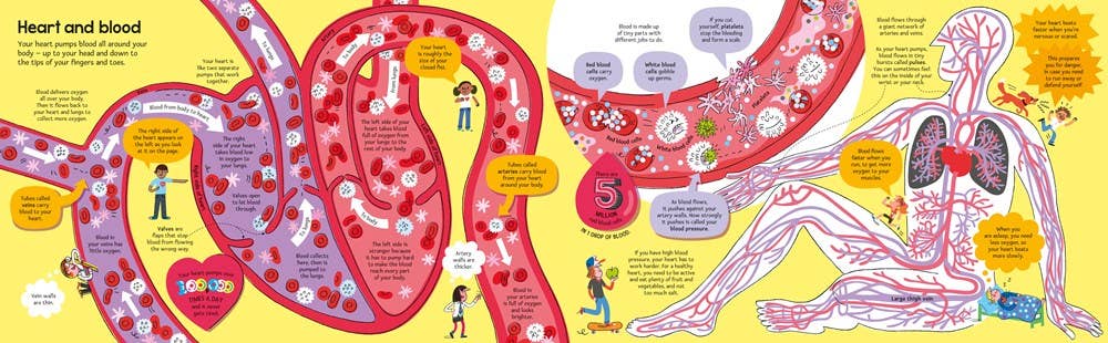 Big Book of The Body : Usborne