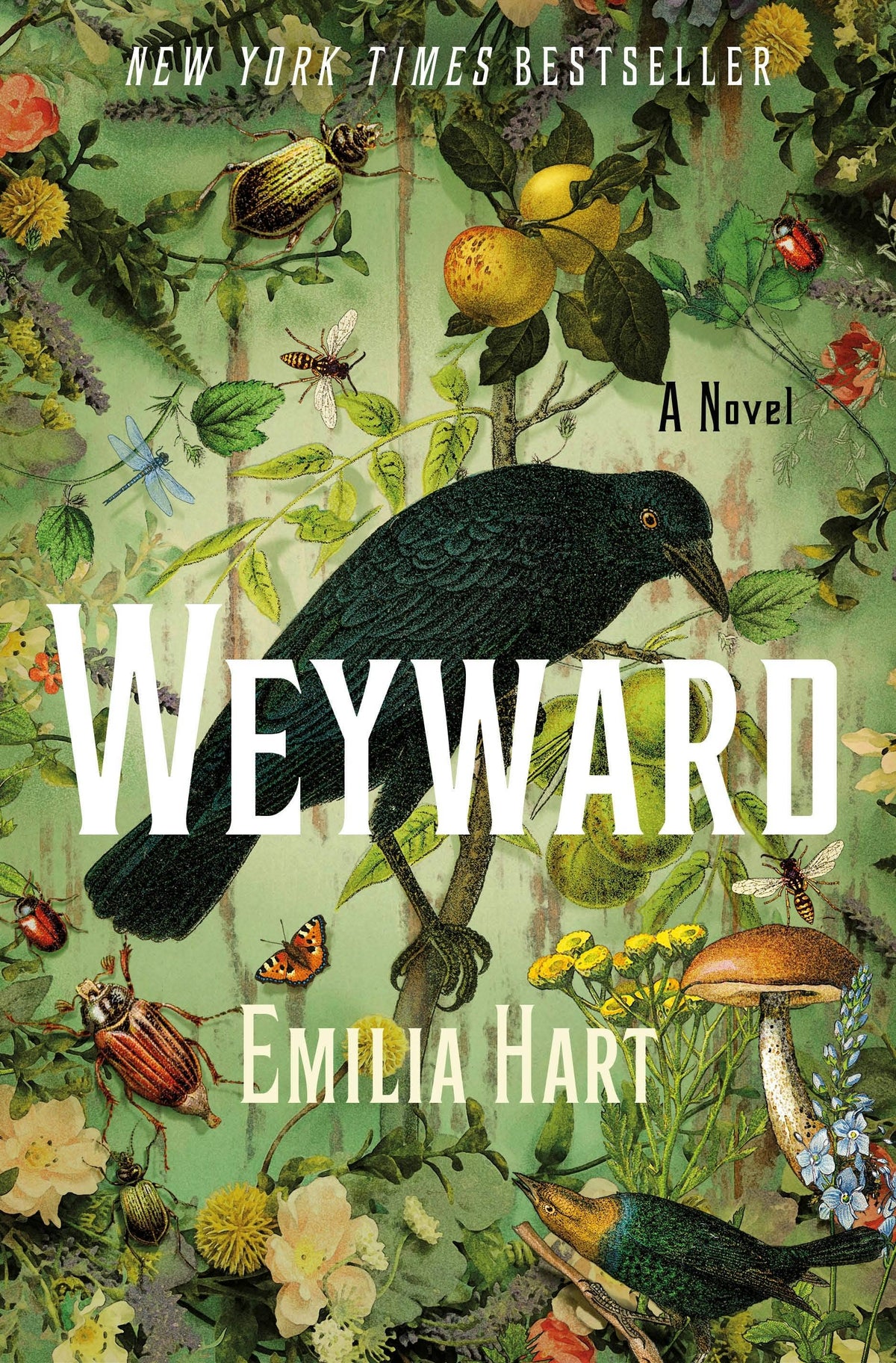 Weyward: A Novel #2