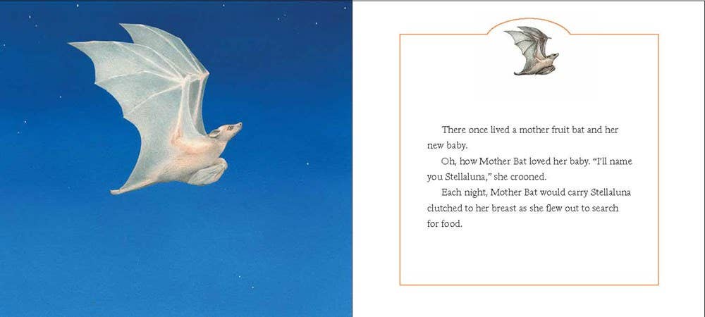 Stellaluna Board Book : Janell Cannon