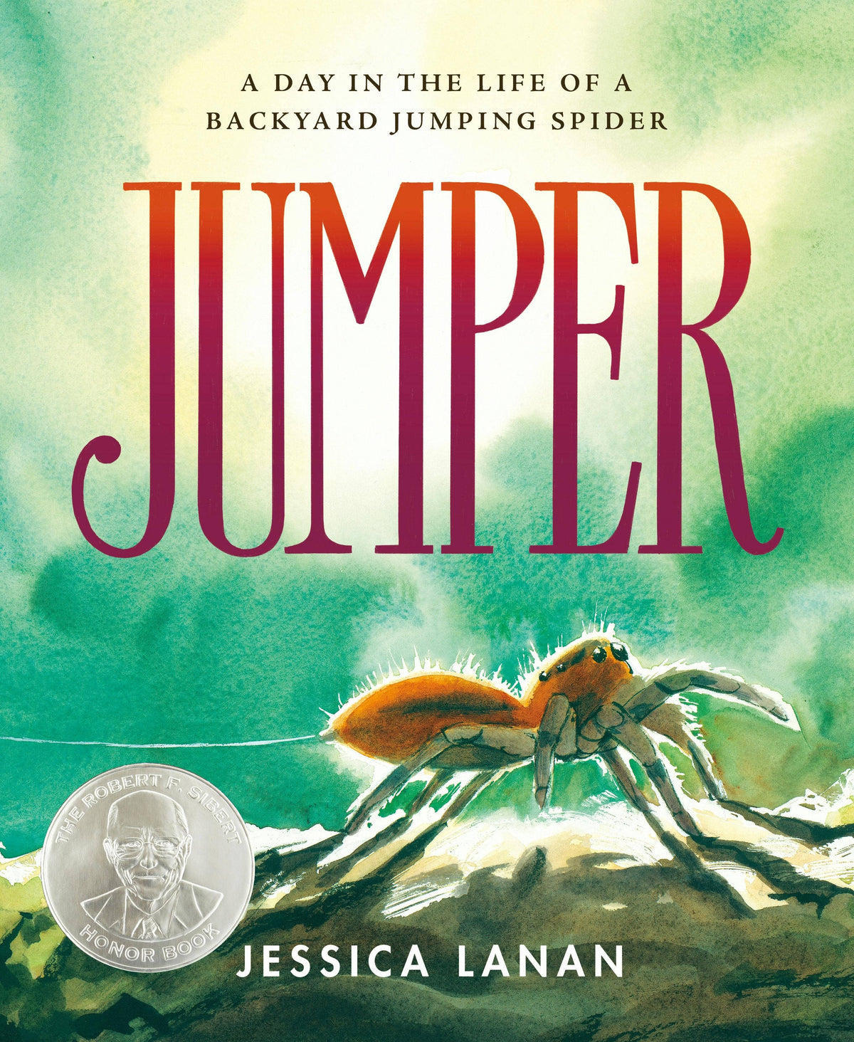 Jumper: A Day In The Life Of A Backyard Jumping Spider
