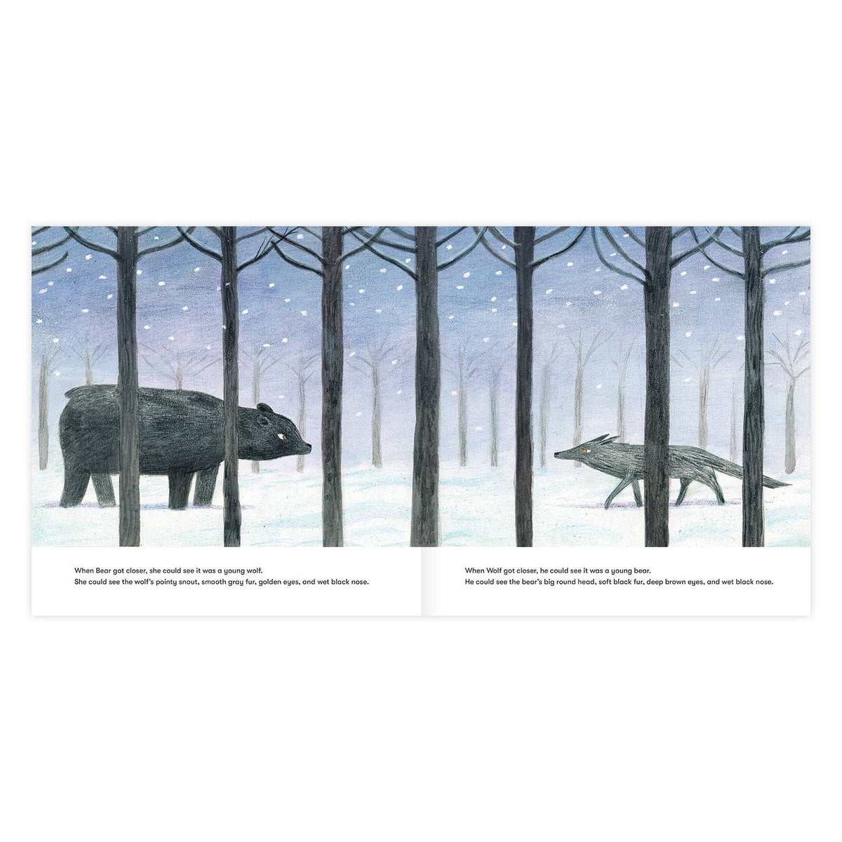 Bear and Wolf