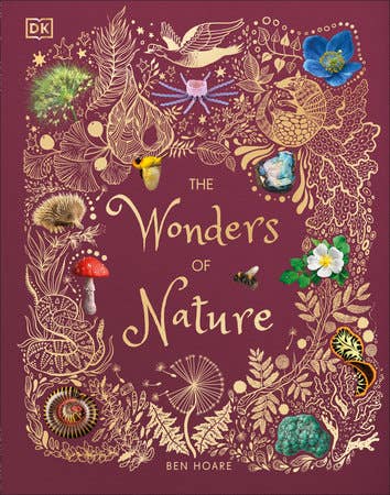 Wonders Of Nature