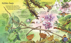 Big Book of Big Bugs : Usborne