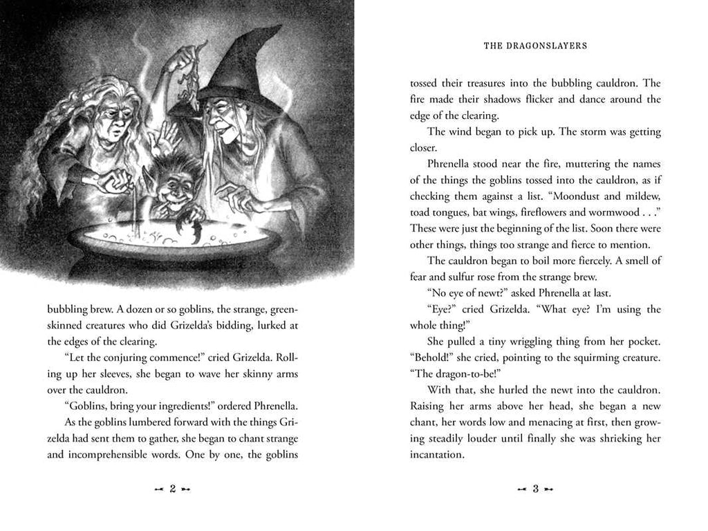 Dragonslayers by Bruce Coville