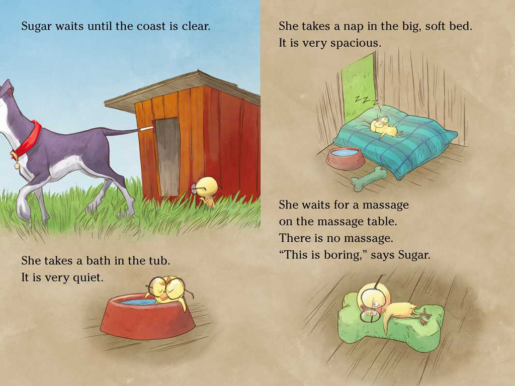 Chicken House by Doreen   Cronin