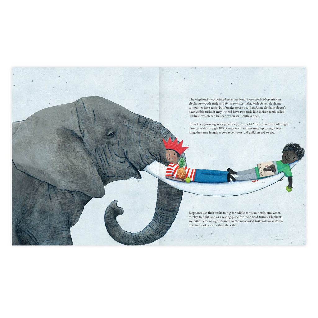 The Elephant