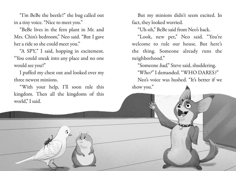Revenge of the Raccoons: A Branches Book (Pets Rule! #7)
